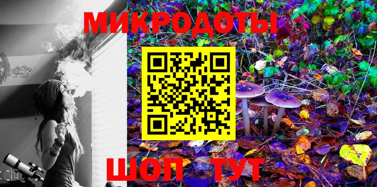 Брянск  Псилоцибиновые грибы MAGIC MUSHROOMS  хочу   Вход с VPN 