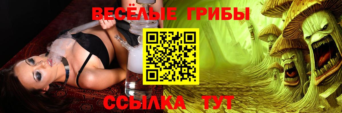 Галлюциногенные грибы Magic Shrooms Брянск