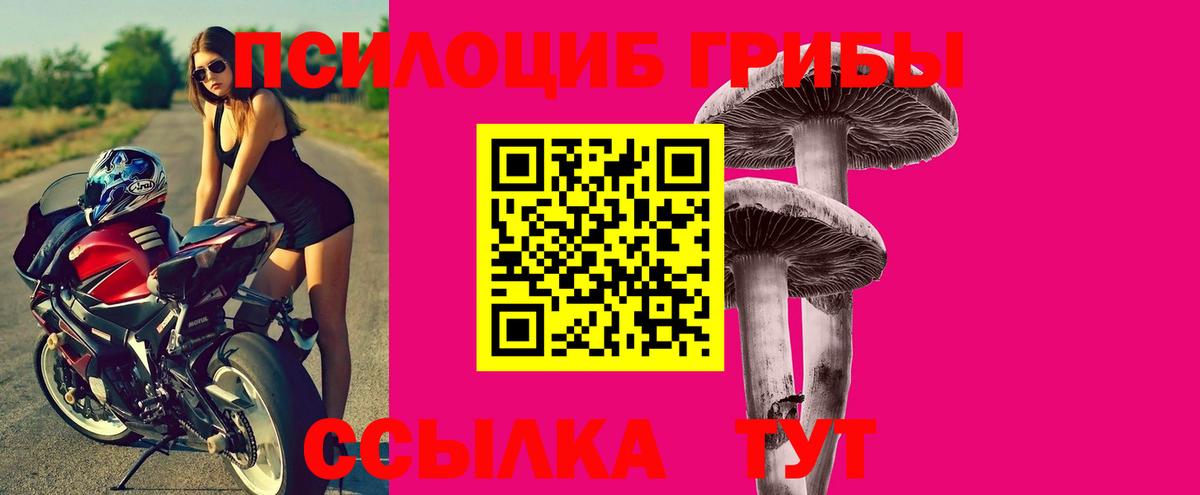 Конопля Брянск